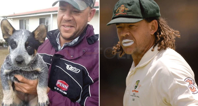 Andrew Symonds' dogs deny leaving his dead body