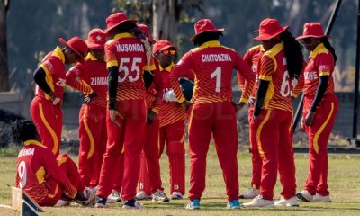 Zimbabwe qualify for T20 World Cup 2022